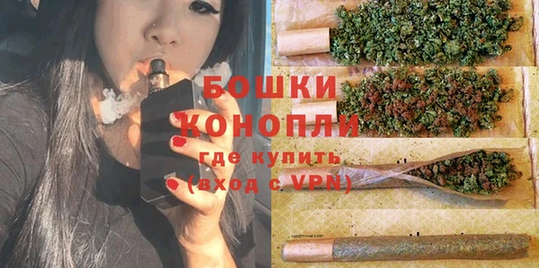 прущая мука Нея