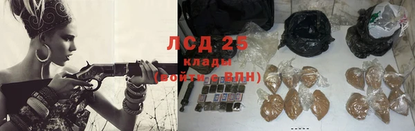 дживик Валдай