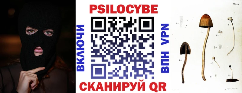 Галлюциногенные грибы Psilocybe Краснотурьинск